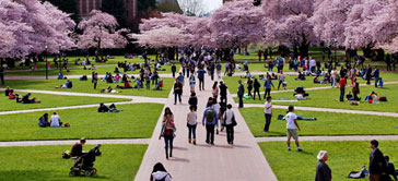 University of Washington
